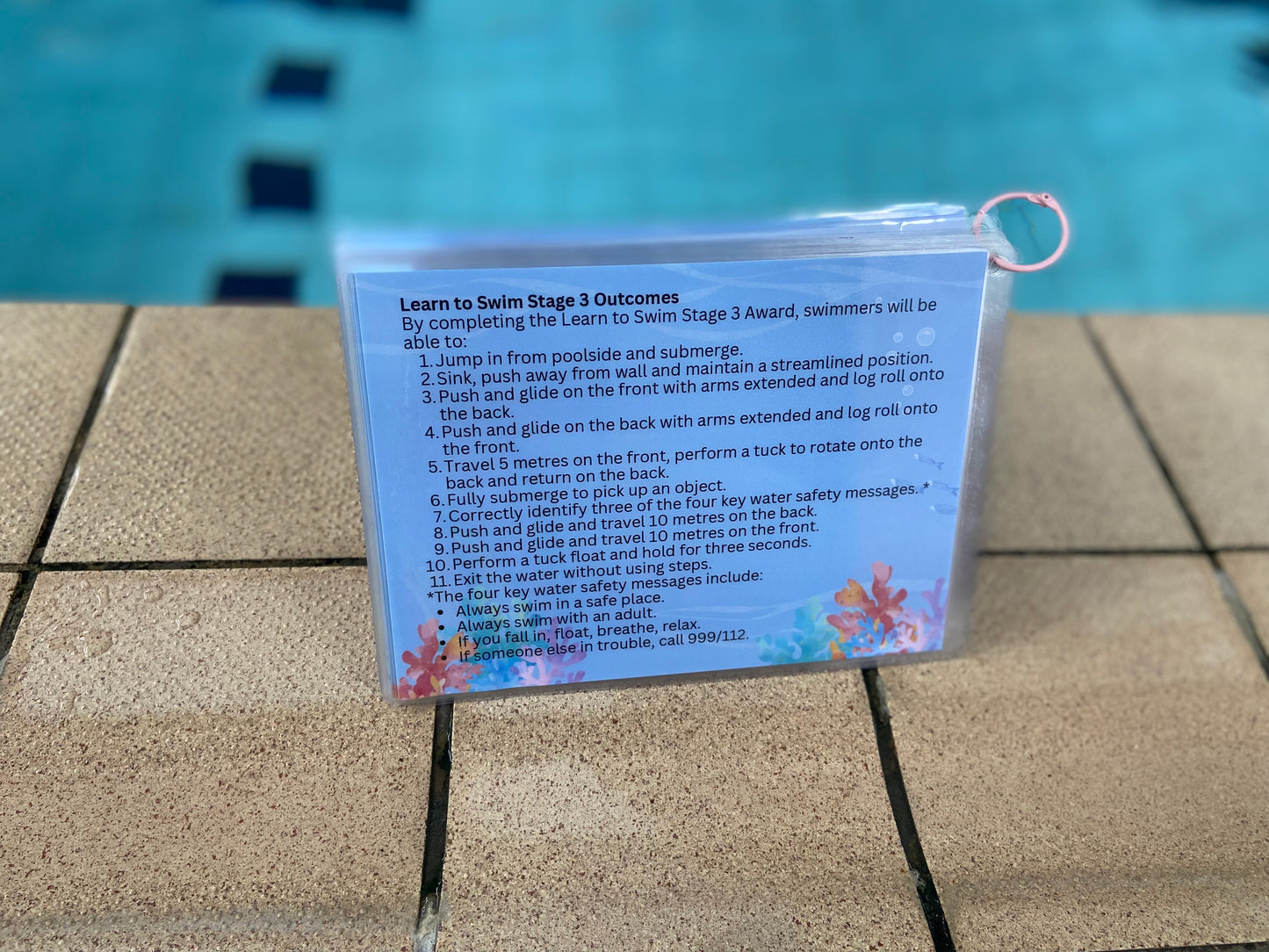 Aqua Planner - Flash Cards